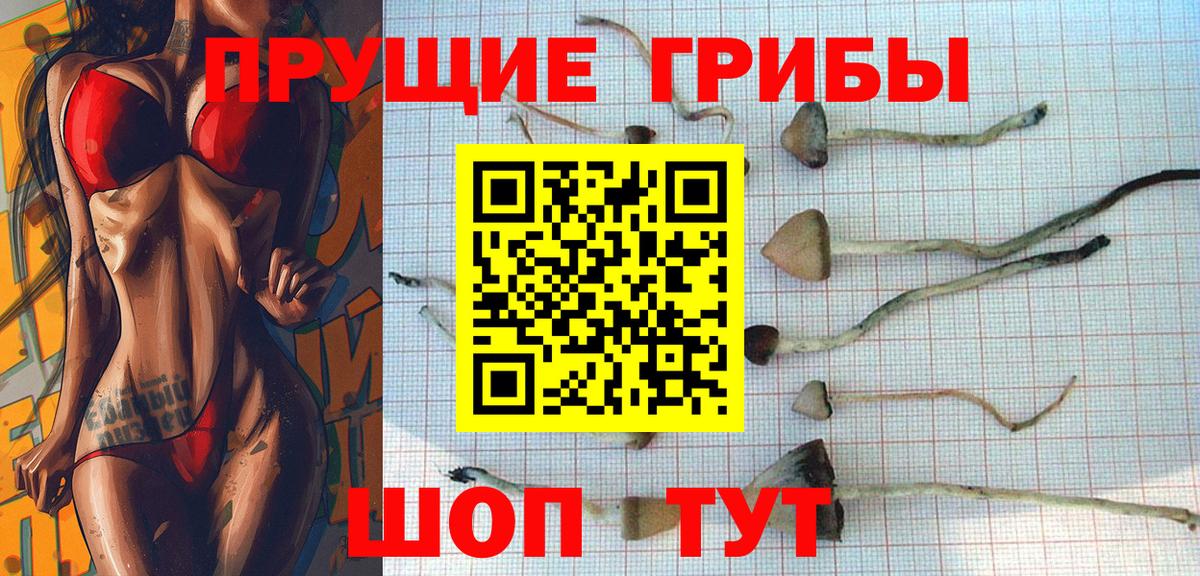 Похвистнево  Псилоцибиновые грибы MAGIC MUSHROOMS  Вход с VPN  Галлюциногенные грибы Psilocybe 